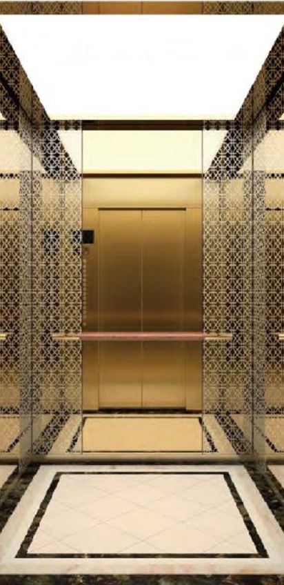 Smr Passneger Elevator